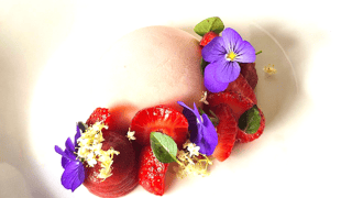 River - Wild at Heart